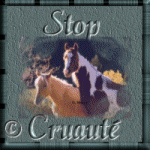�ce logo est la propri�t� de LaTiteBriseDuNord, pour la D�fense des animaux, combat contre la cruaut�.